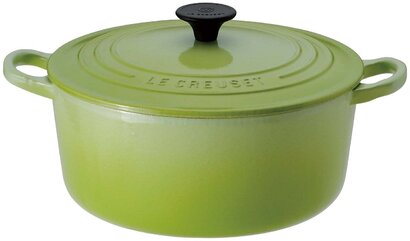 Кастрюля / жаровня 20 см, киви Le Creuset